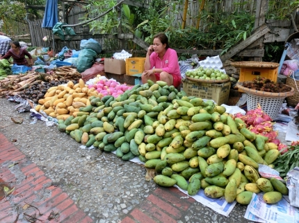 luangprabang (128)
